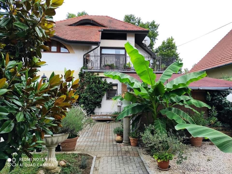 Lavendel Apartman Harkány Dış mekan fotoğraf